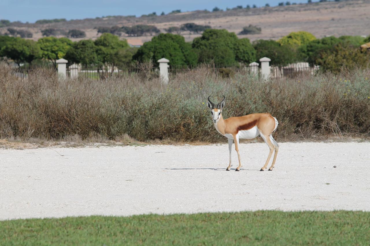 Langebaan Country Estate Διαμέρισμα Εξωτερικό φωτογραφία